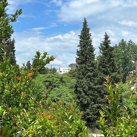 Central Park Apartment Ποντγορίτσα Εξωτερικό φωτογραφία